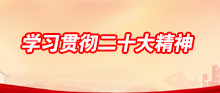 学习贯彻二十大